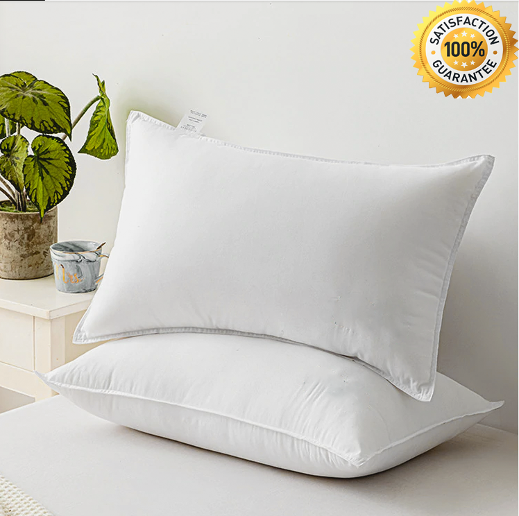 2 PCs Filled Pillows